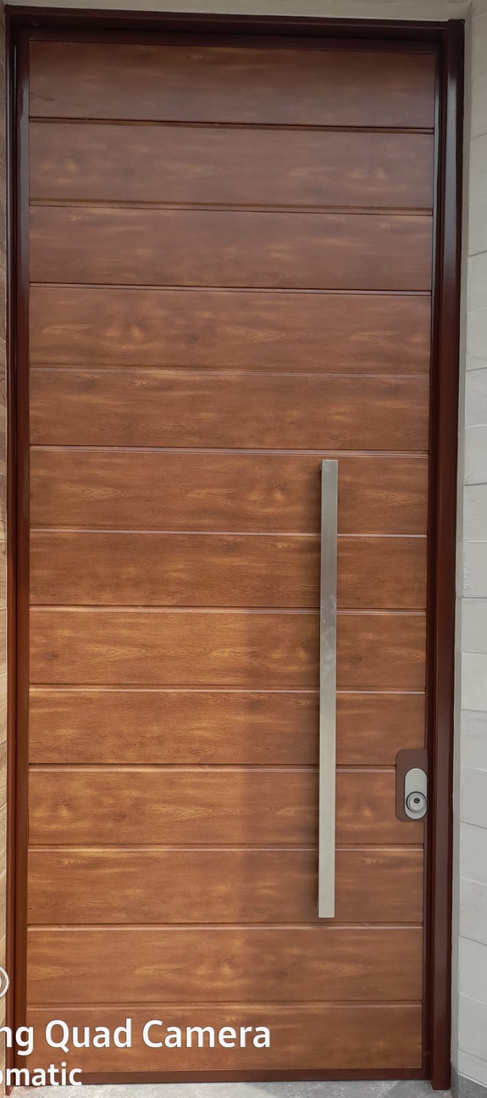 Puerta principal peatonal